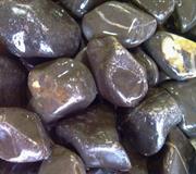 bolo negre